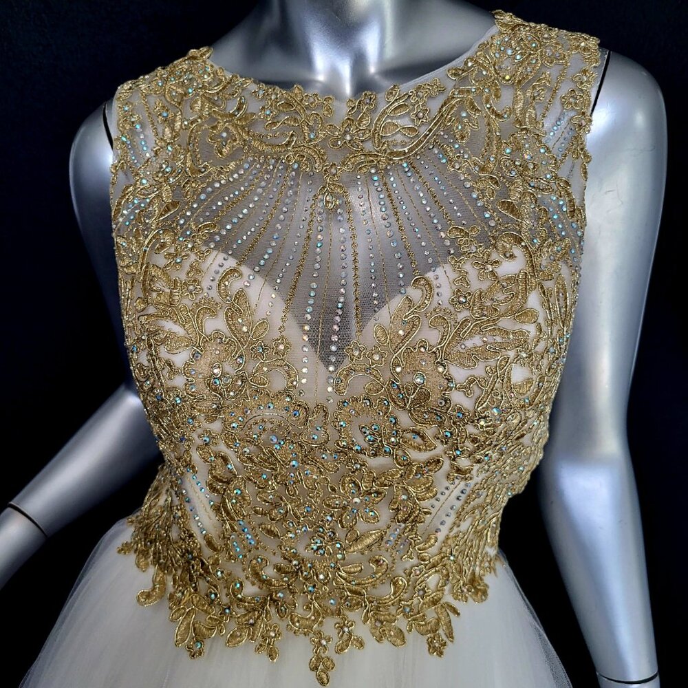Gold Embroidered Illusion Bodice Maxi Dress - Elegant Evening Gown